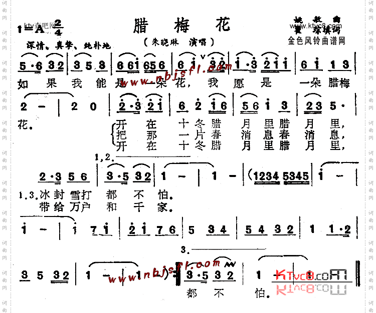 腊梅花