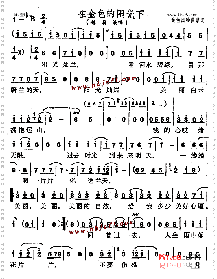 在金色的阳光下