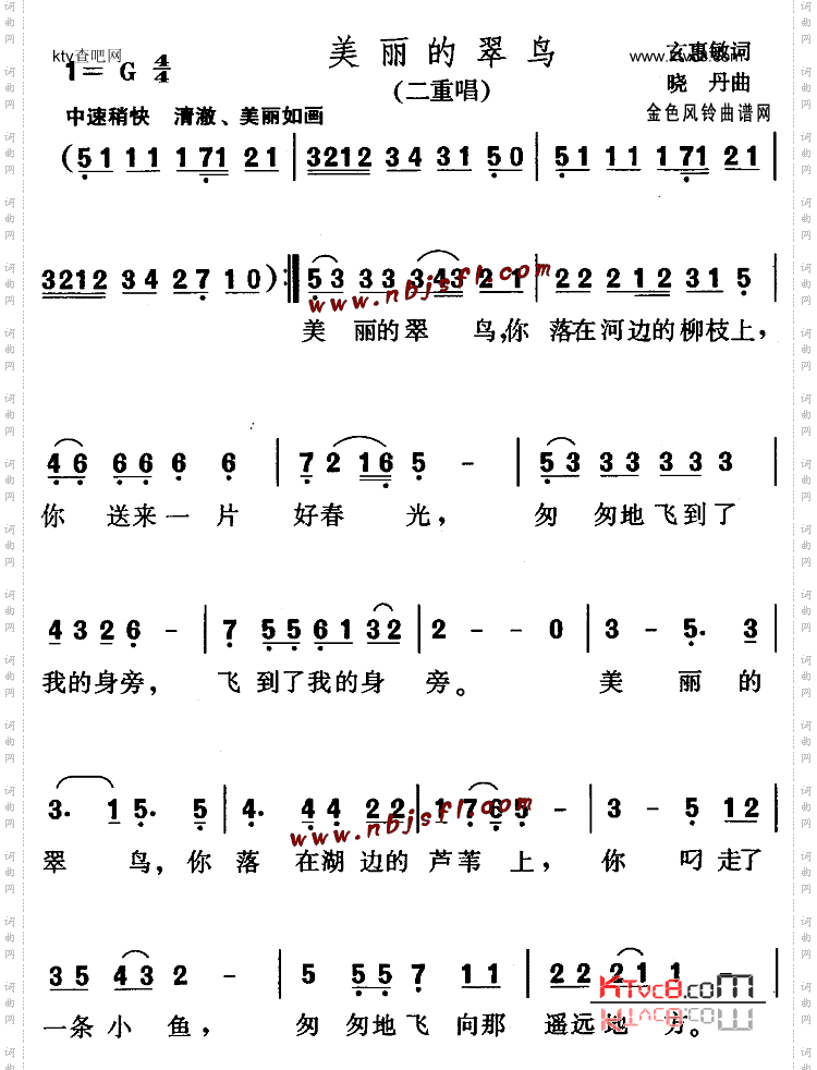 美丽的翠鸟儿童歌