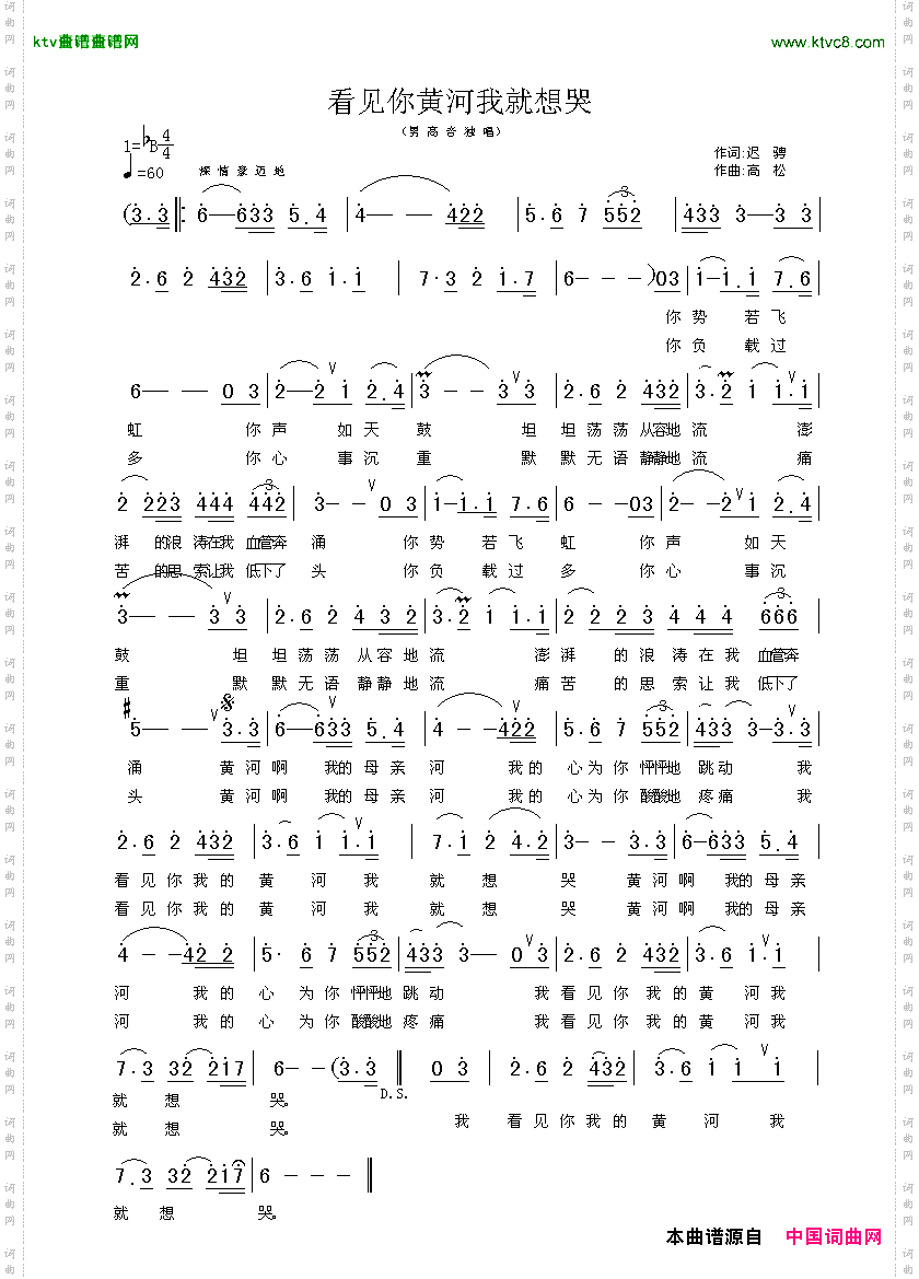 看见你黄河我想哭