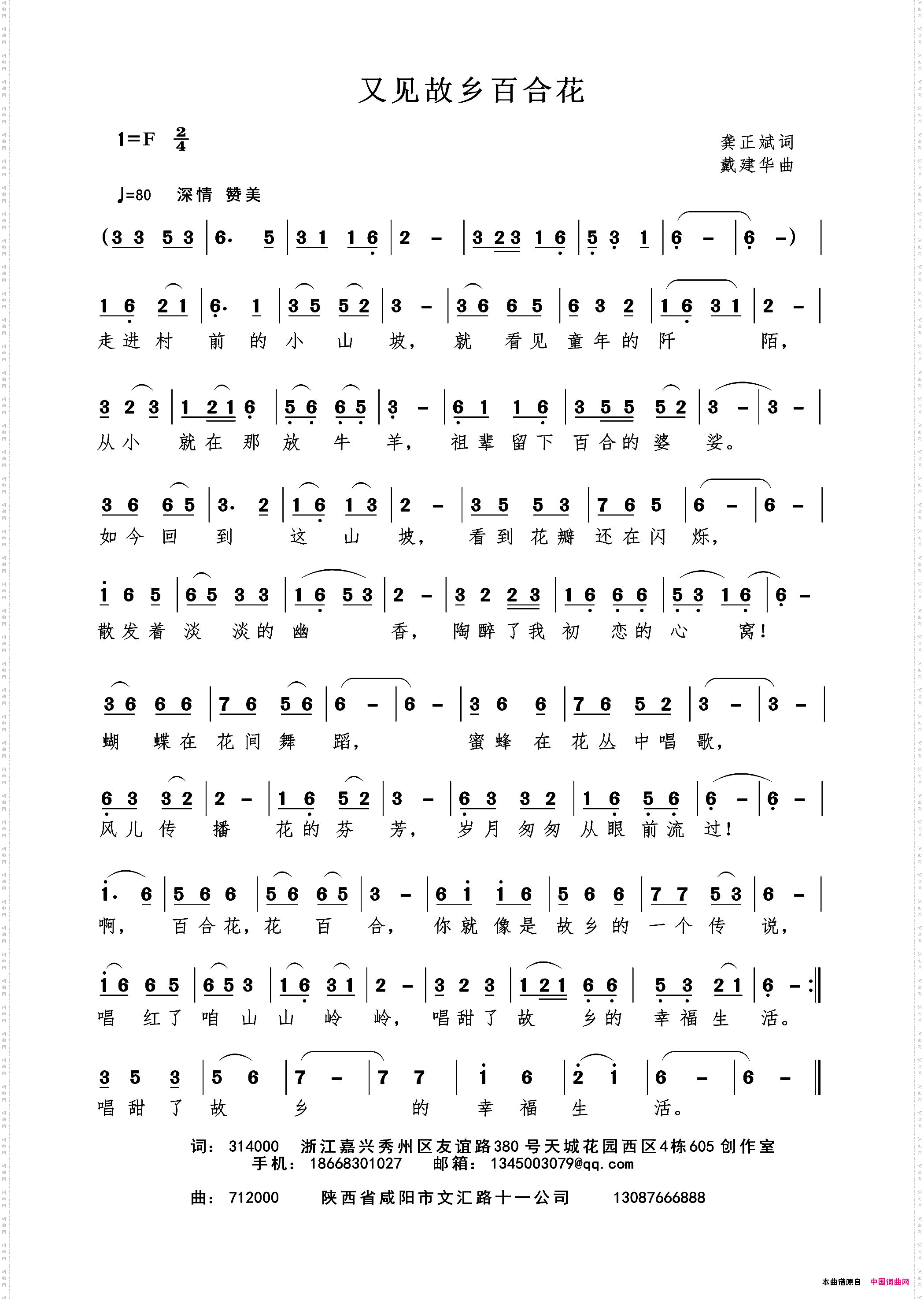 又见故乡百合花