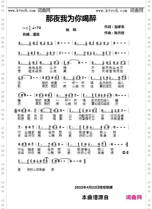 那夜我为你喝醉_普通版