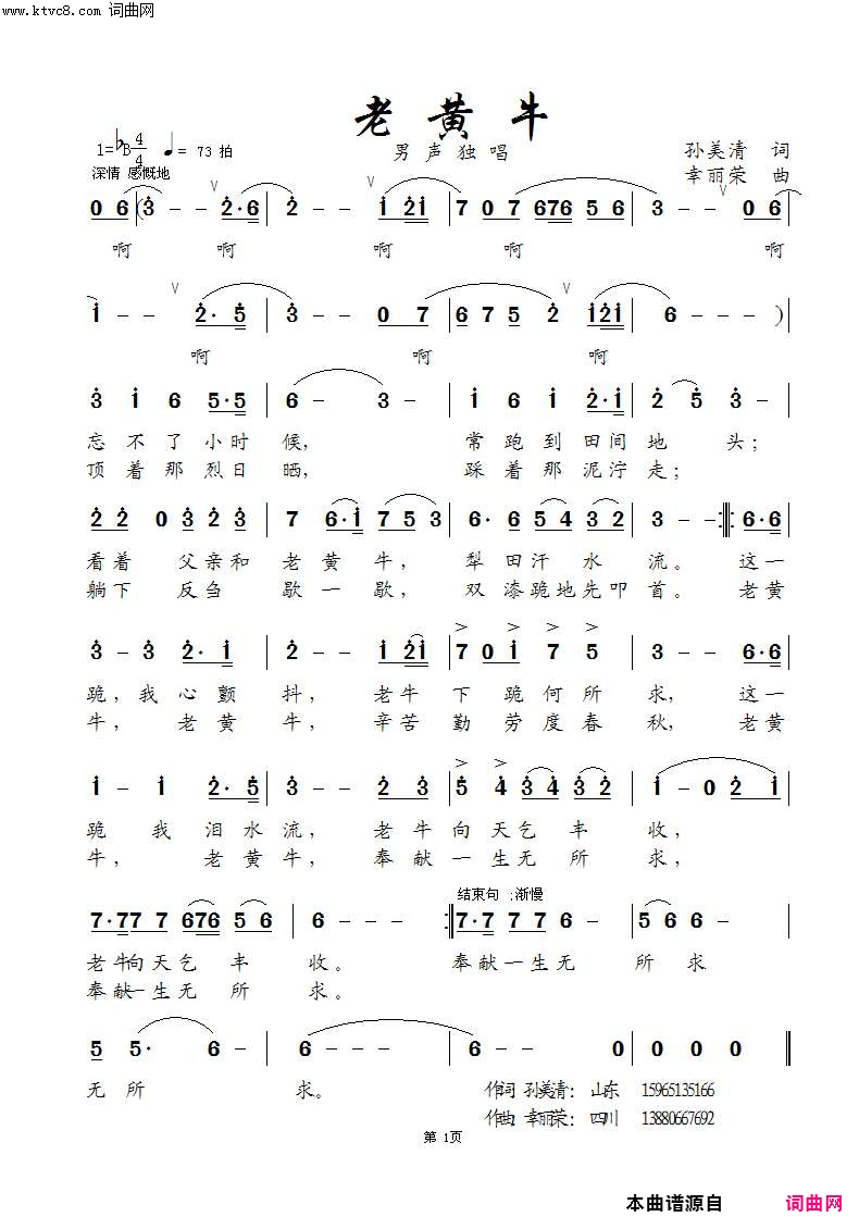 老黄牛