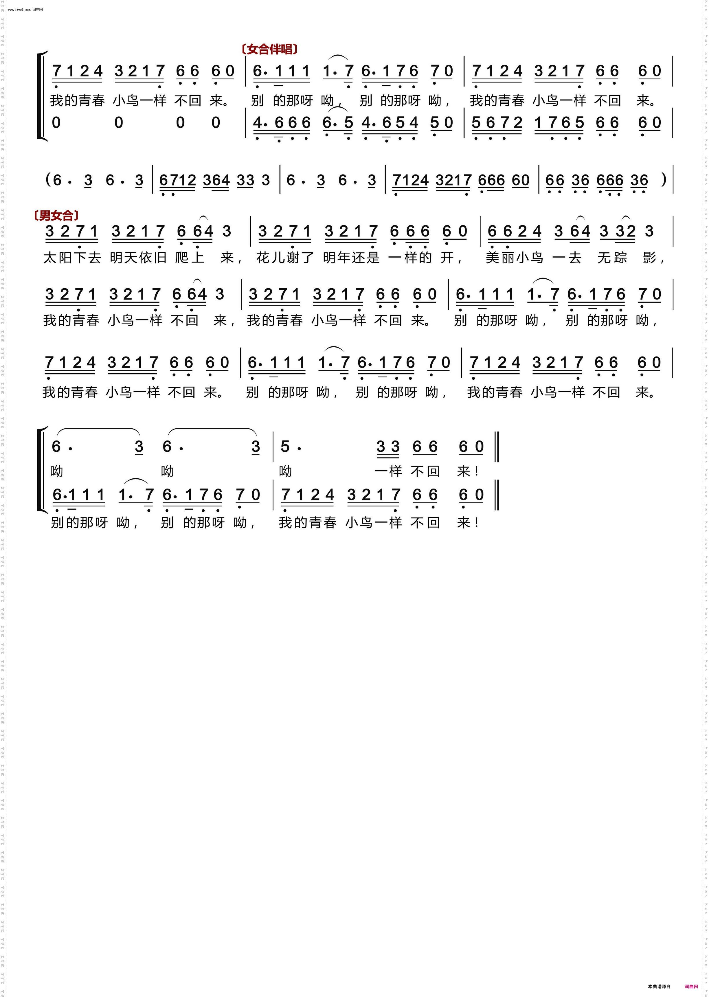 青春舞曲〔女声独唱、男女声伴唱〕_〔王洛宾歌曲精选·演唱篇〕