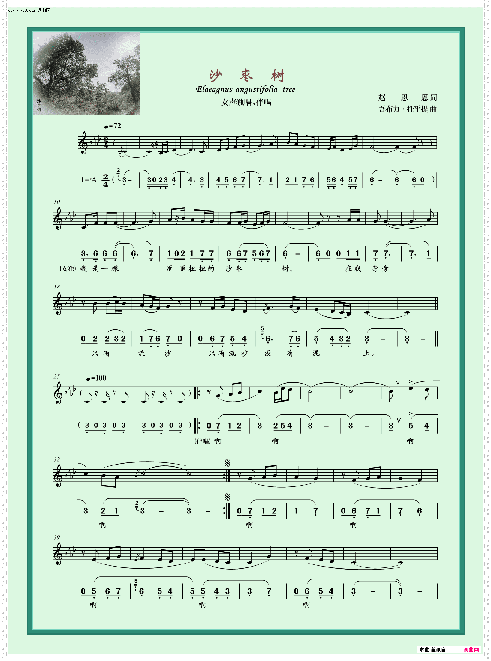 沙枣树_女声独唱、伴唱