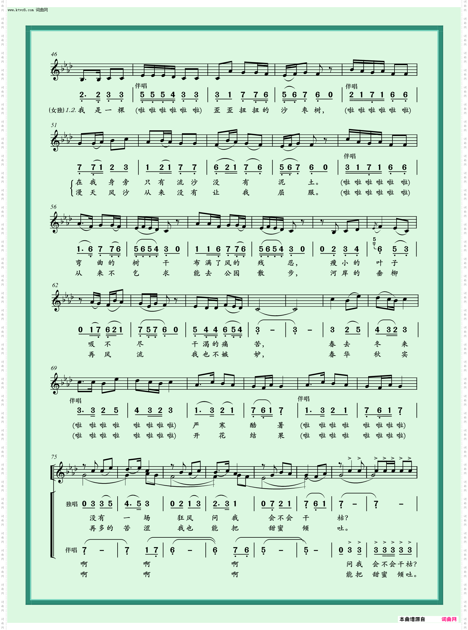 沙枣树_女声独唱、伴唱
