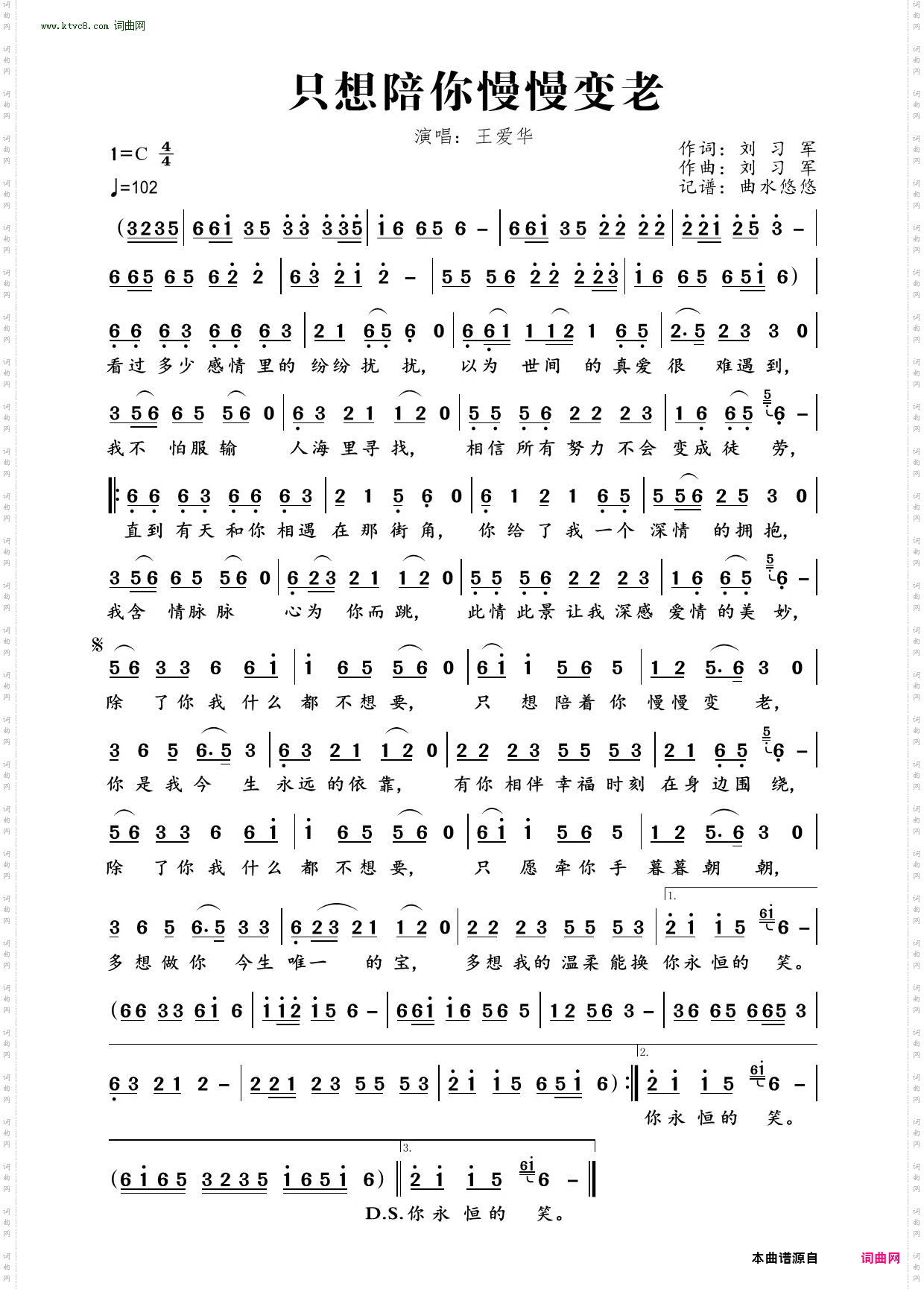 只想陪你慢慢变老