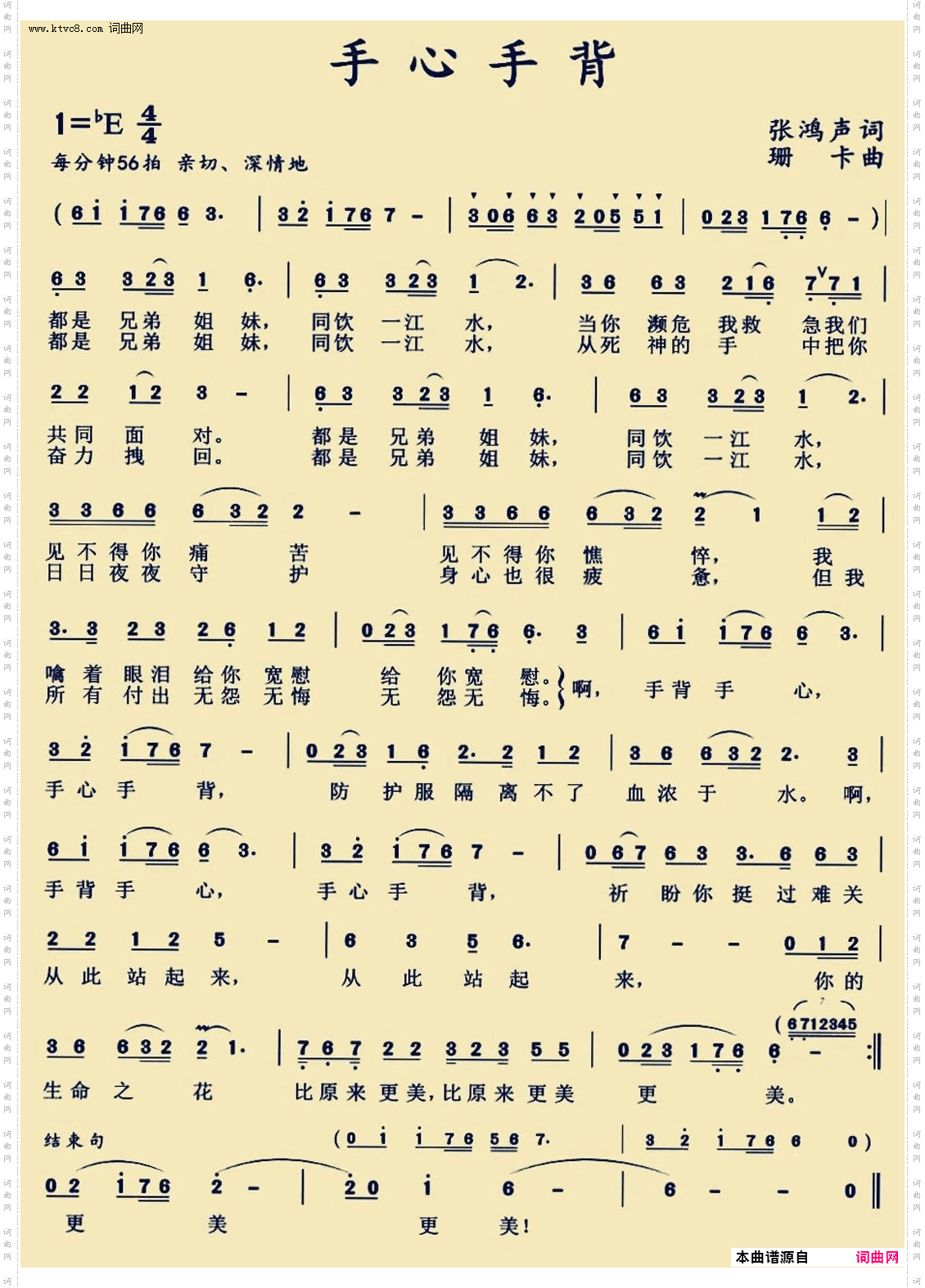 手心手背