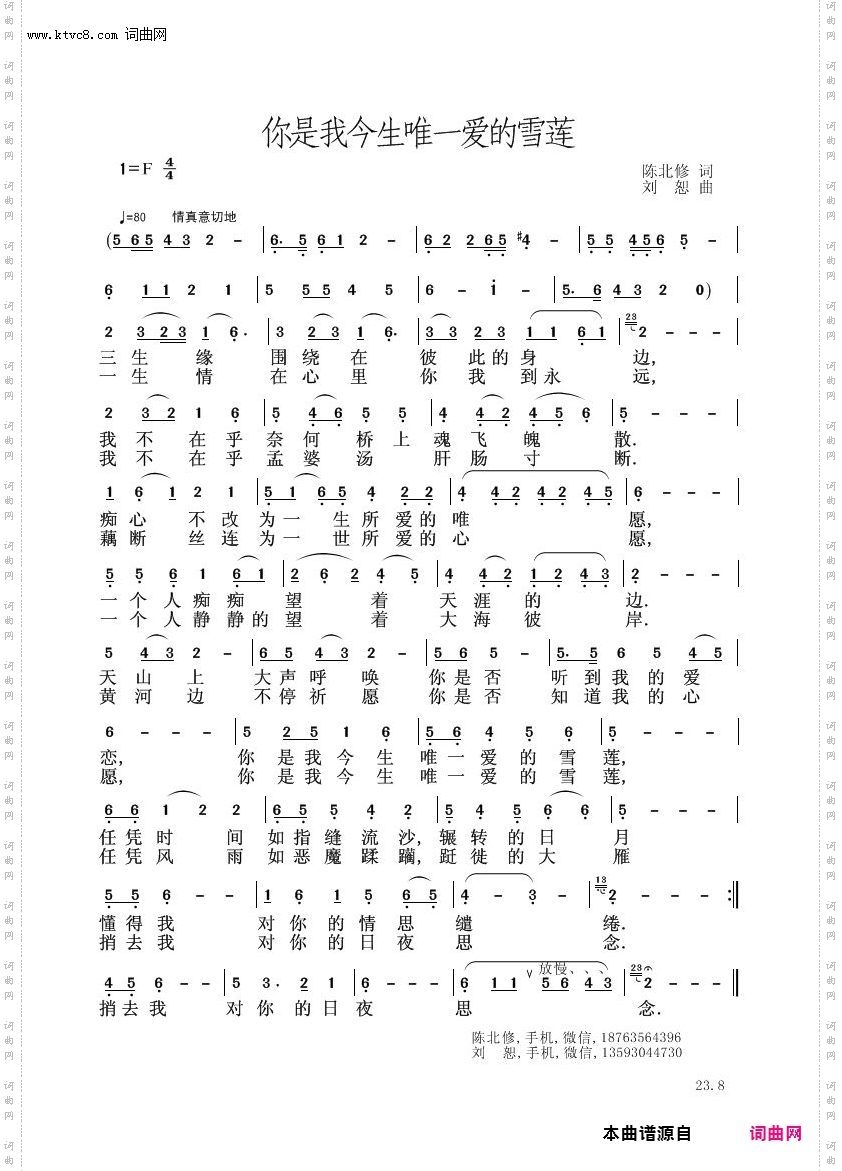 你是我今生唯一爱的雪莲
