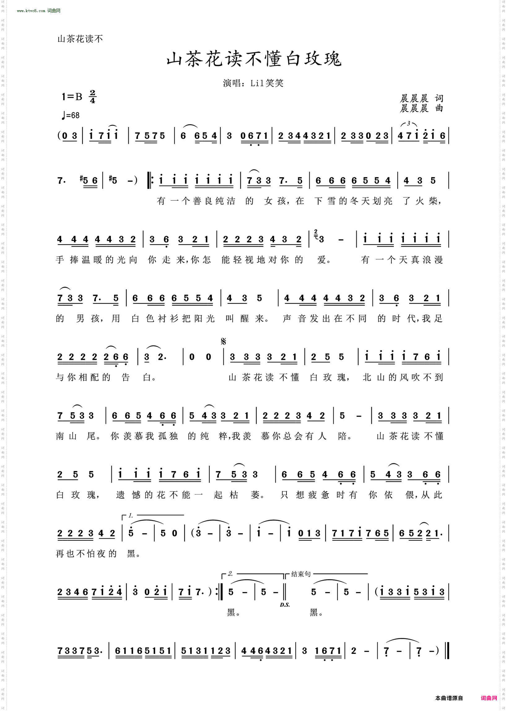 山茶花读不懂白玫瑰