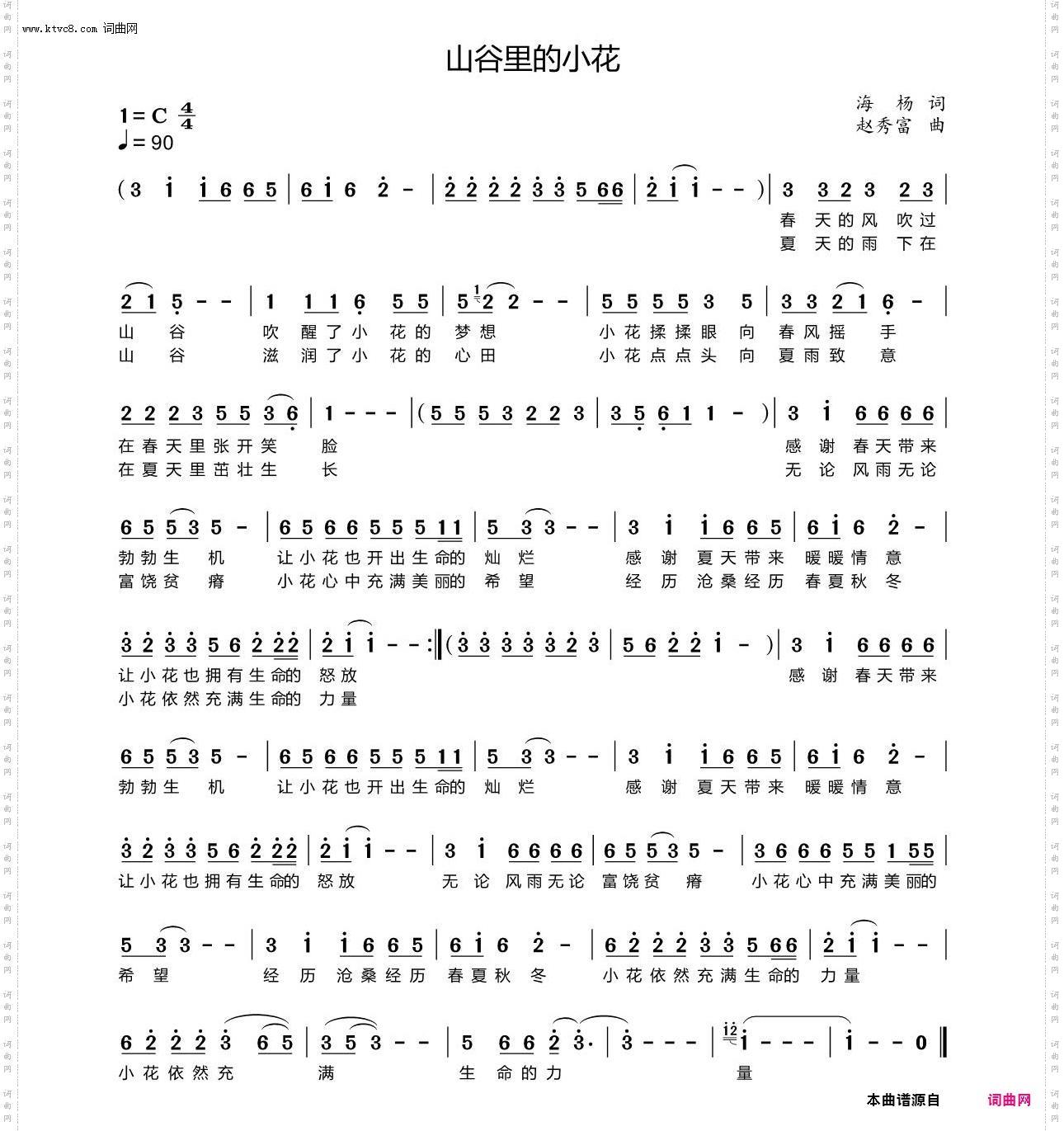 山谷里的小花