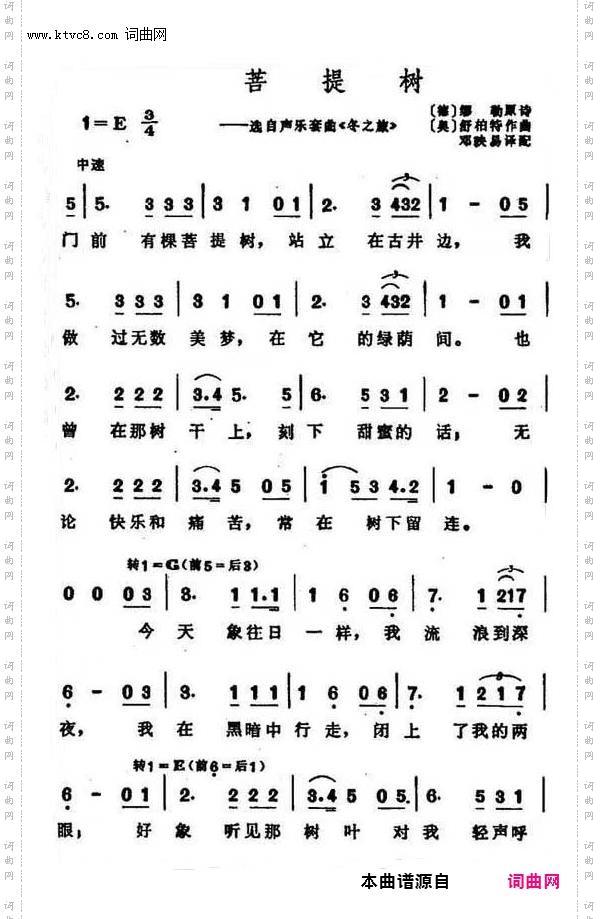 菩提树