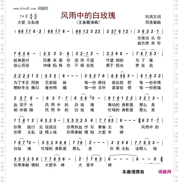 风雨中的白玫瑰