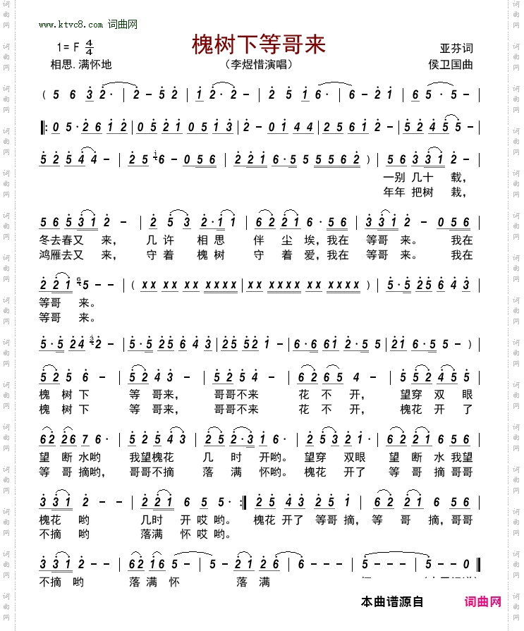槐树下等哥来