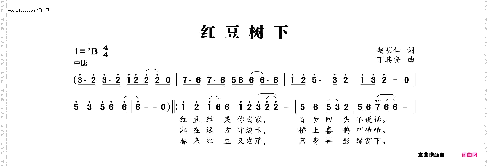 红豆树下