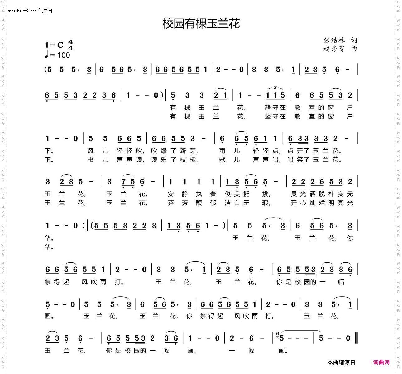 校园有棵玉兰花