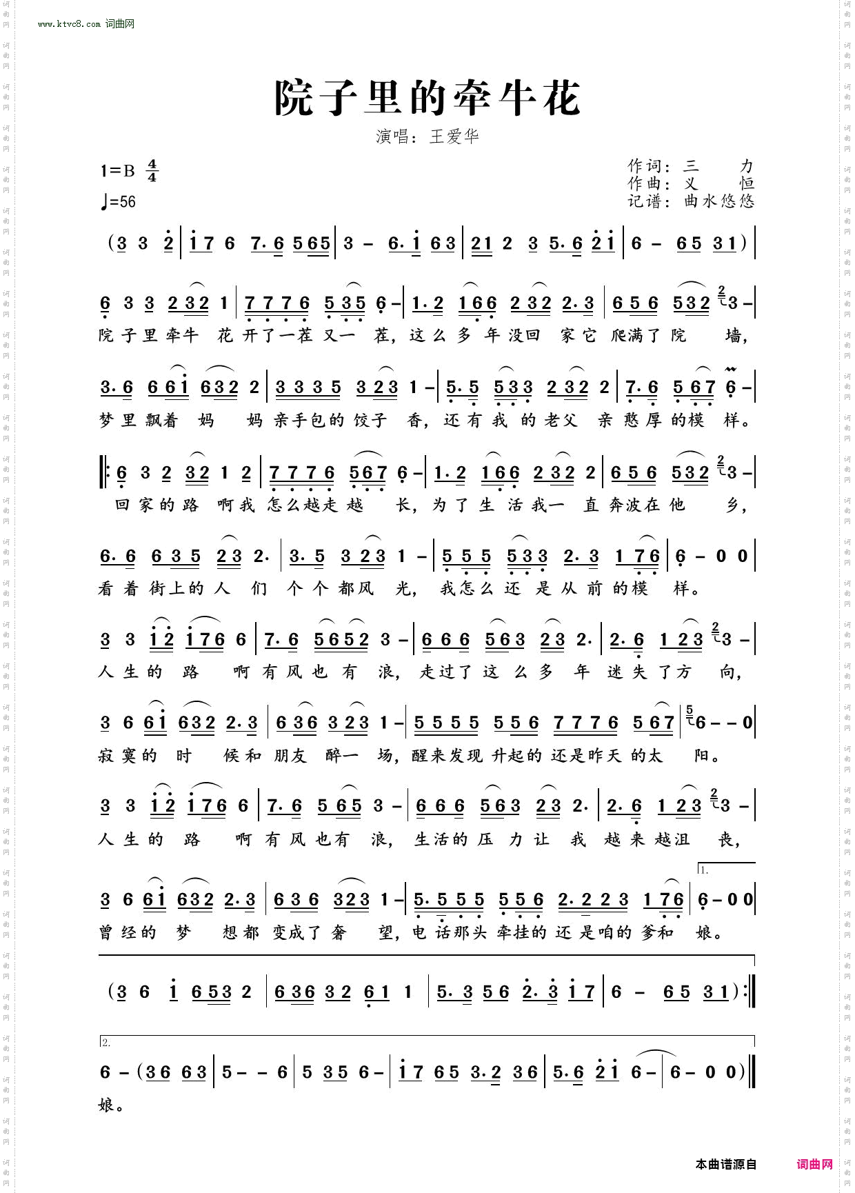 院子里的牵牛花