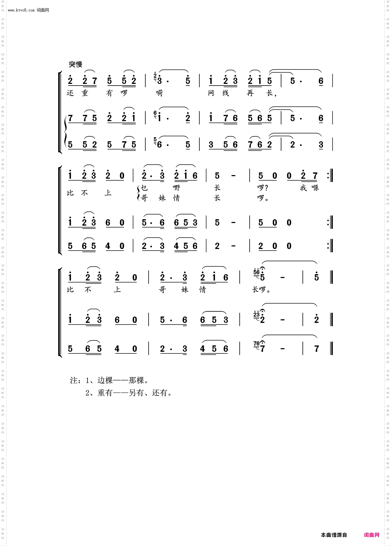 水上妹，水上仔