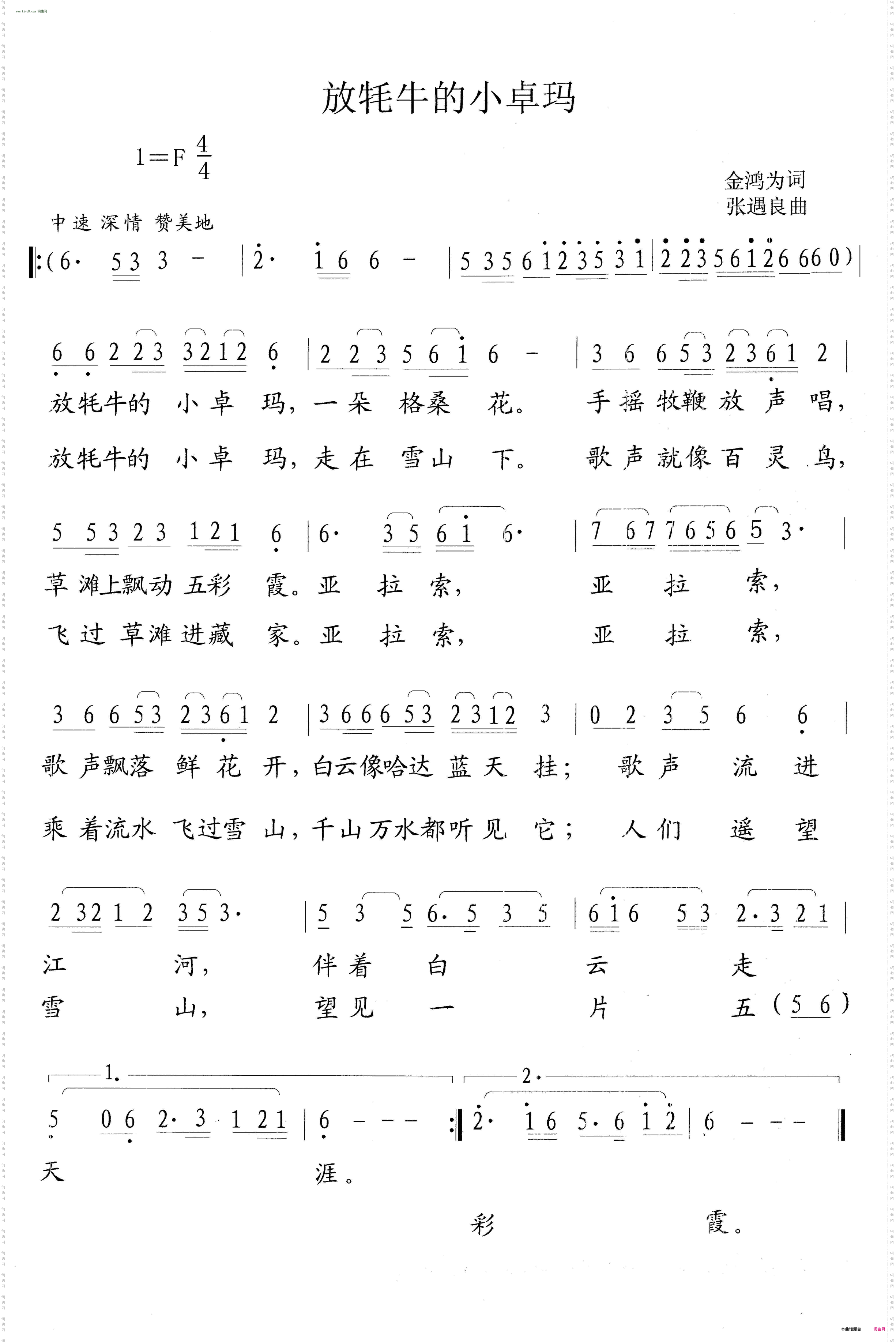 放牦牛的小卓玛