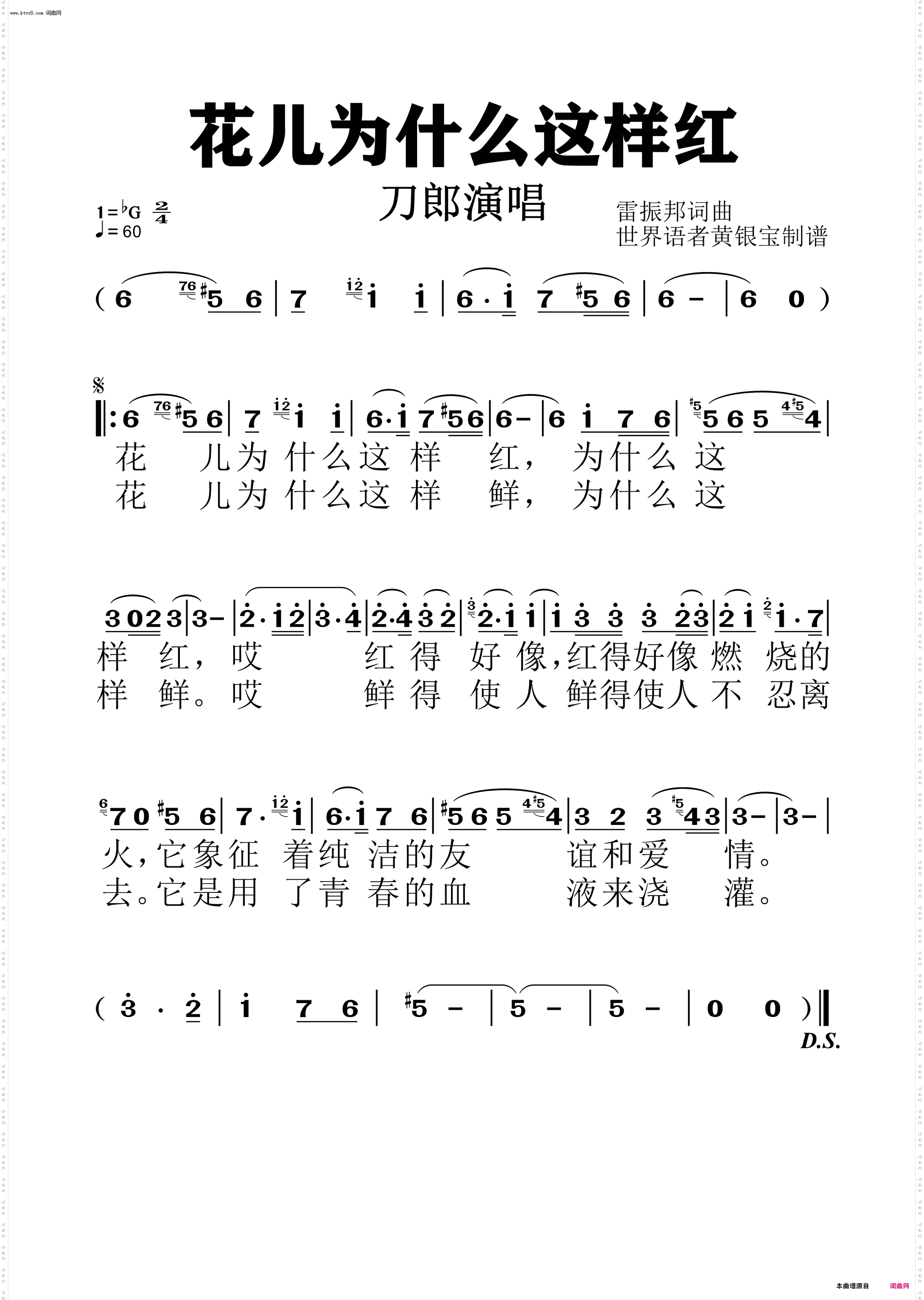 花儿为什么这样红