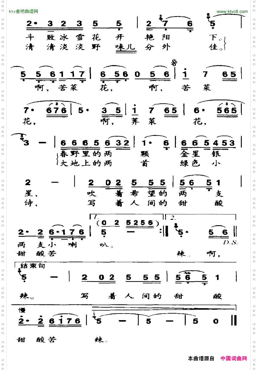 苦菜花，荠菜花