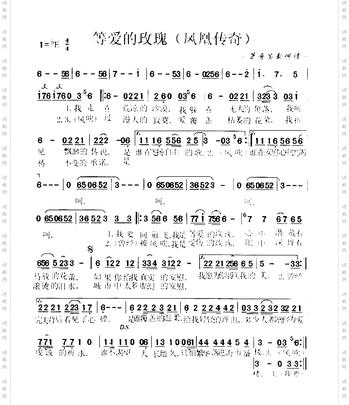 等爱的玫瑰