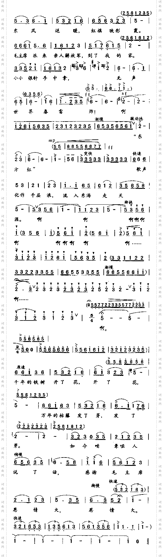 千年的铁树开了花之二