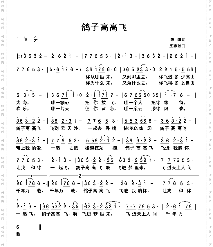鸽子高高飞