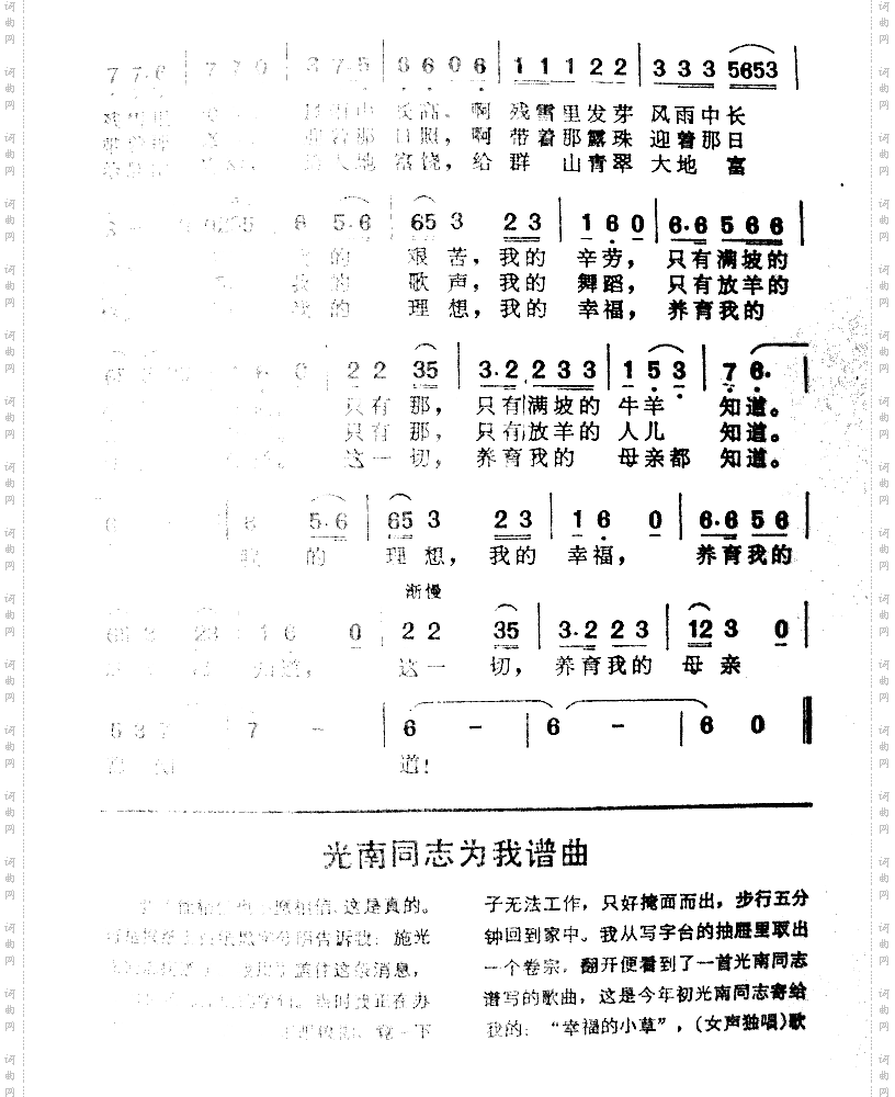幸福的小草
