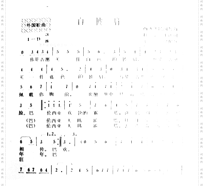 白披肩