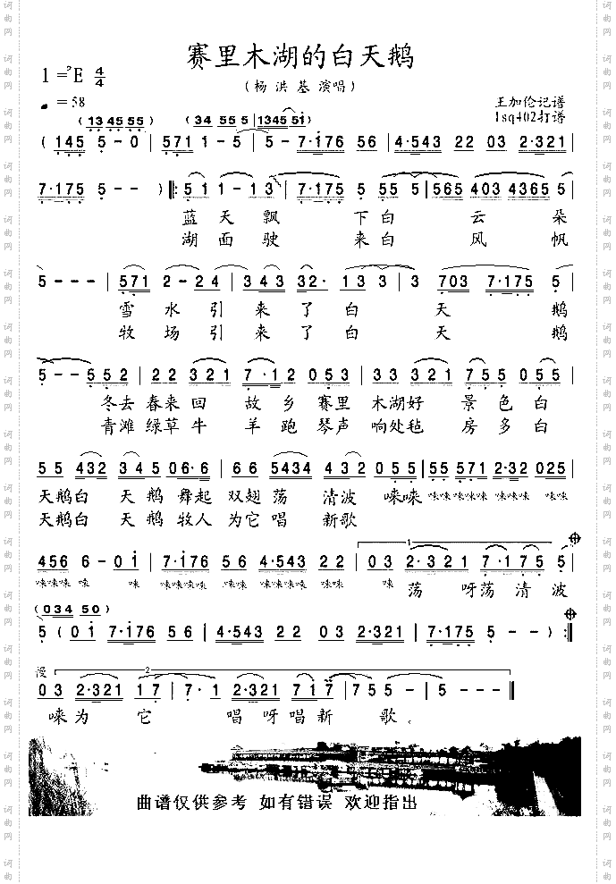 赛里木湖的白天鹅