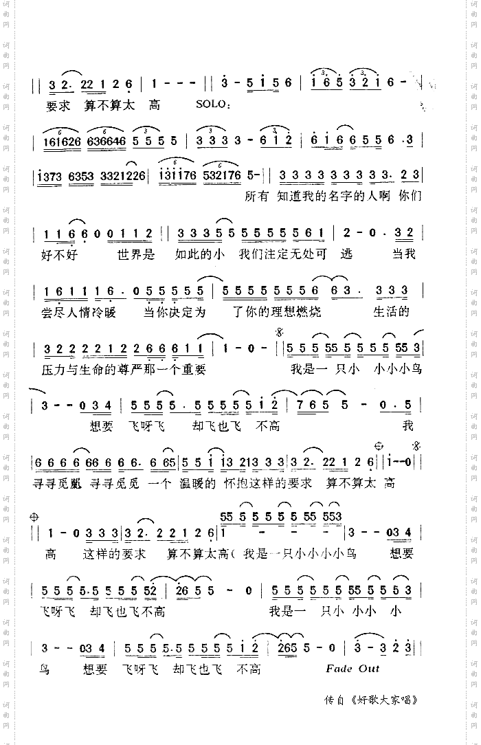 我是一只小小鸟