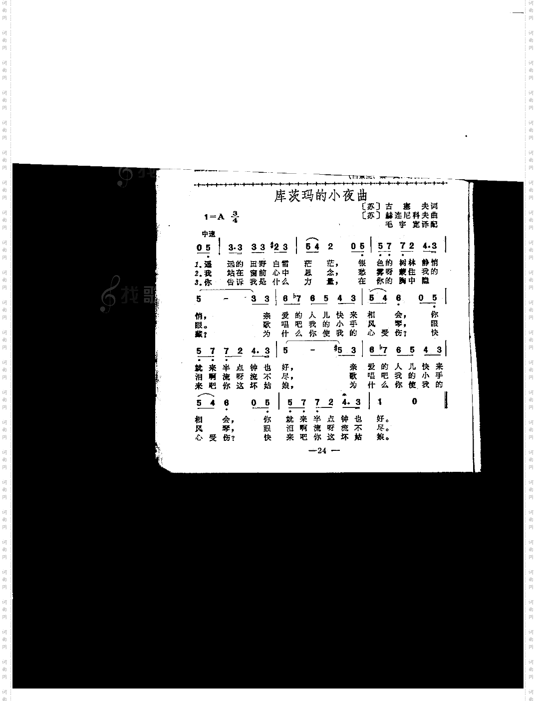 库茨玛的小夜曲