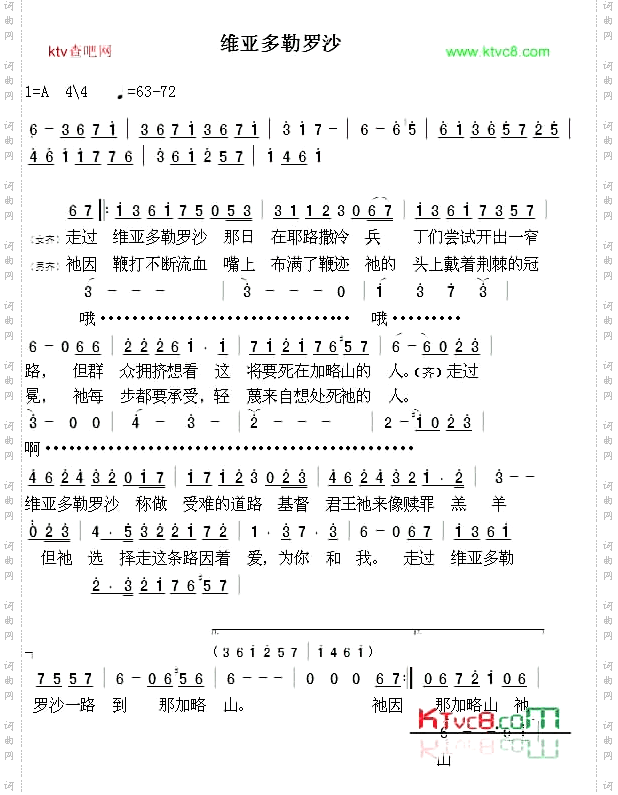 维亚多勒罗沙