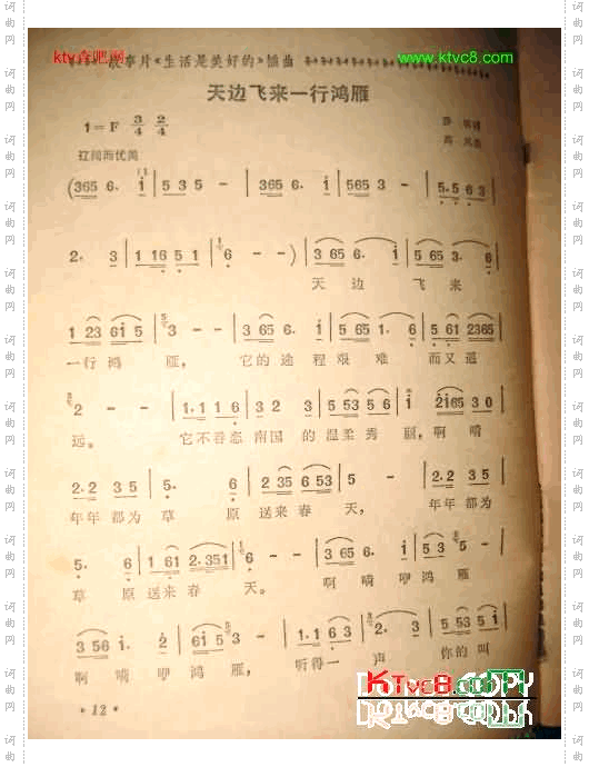 天边飞来一行鸿雁