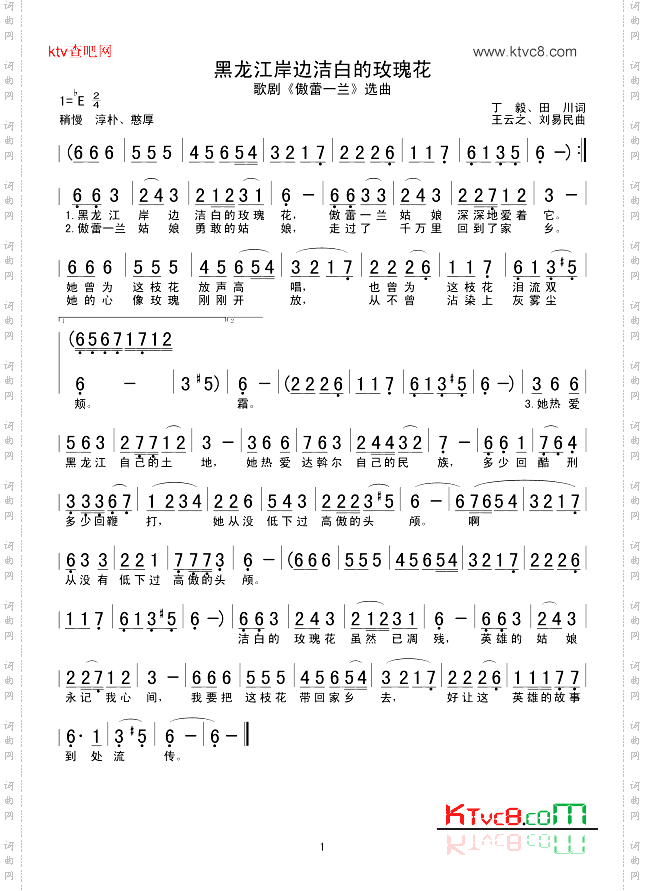 黑龙江岸边洁白的玫瑰花.