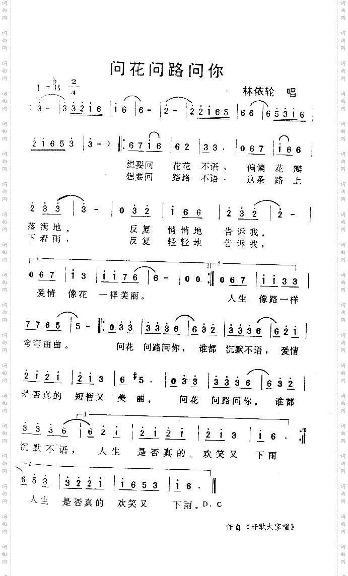 问花问路问你
