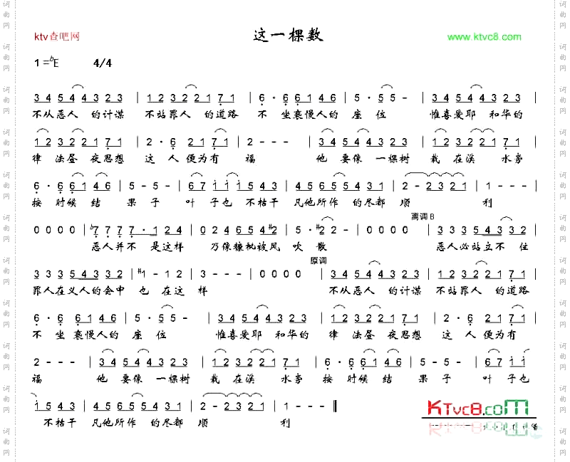 这一棵树