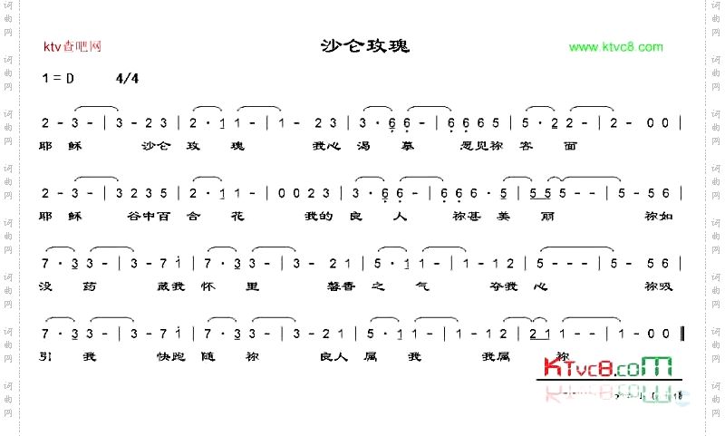 沙仑玫瑰