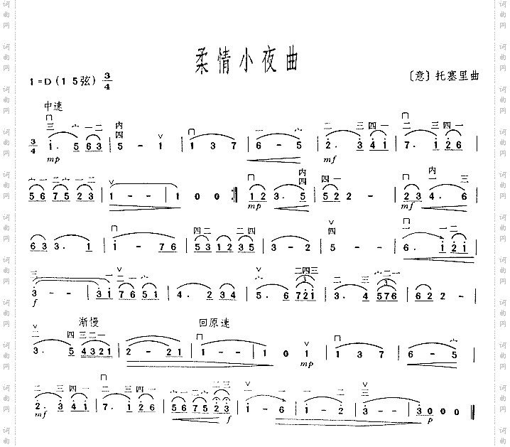 柔情小夜曲