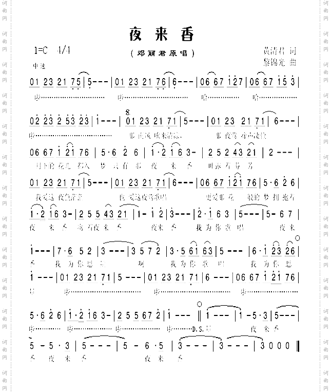 夜来香