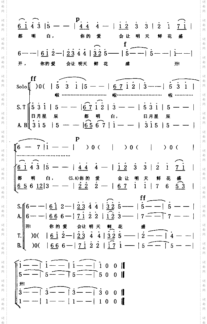 生命的光彩