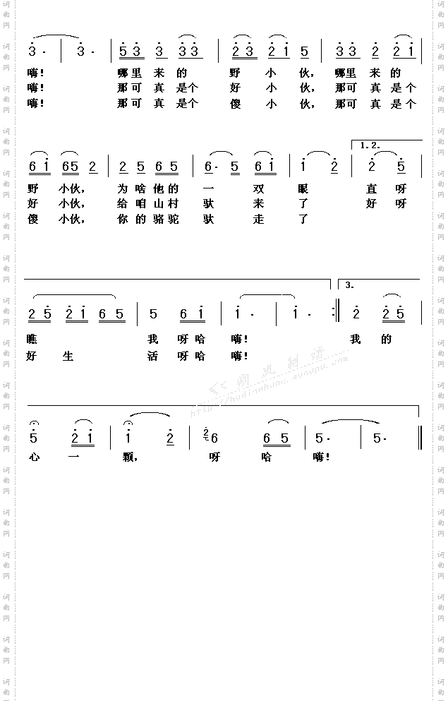 拉骆驼的黑小伙