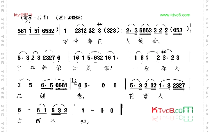 看不尽满眼春色富贵花