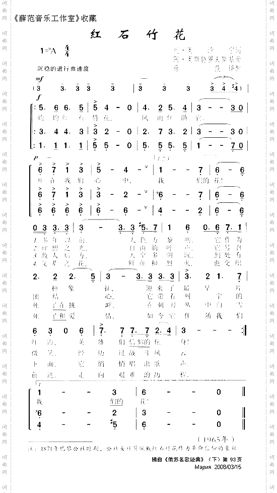 红石竹花