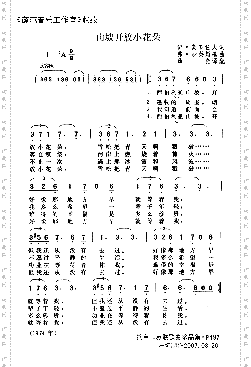 山坡开放小花朵
