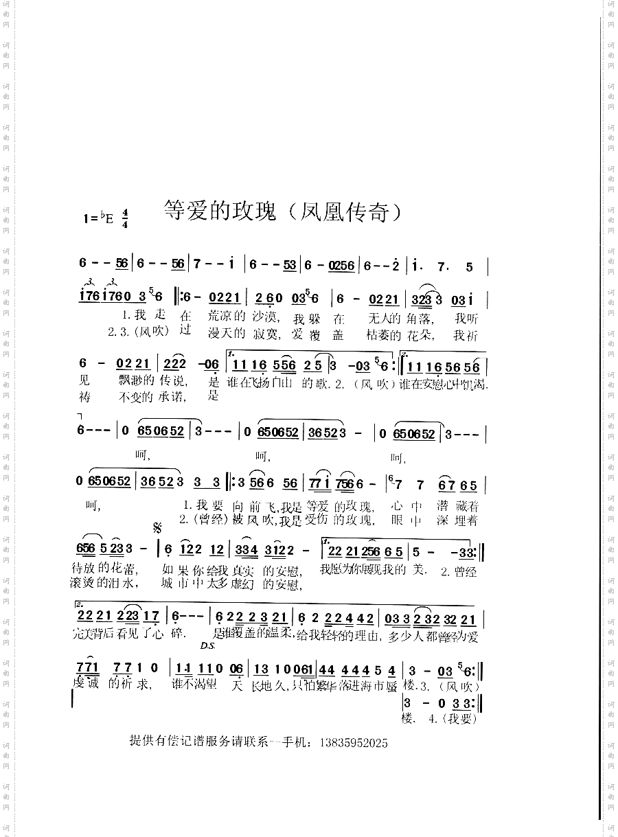 等爱的玫瑰