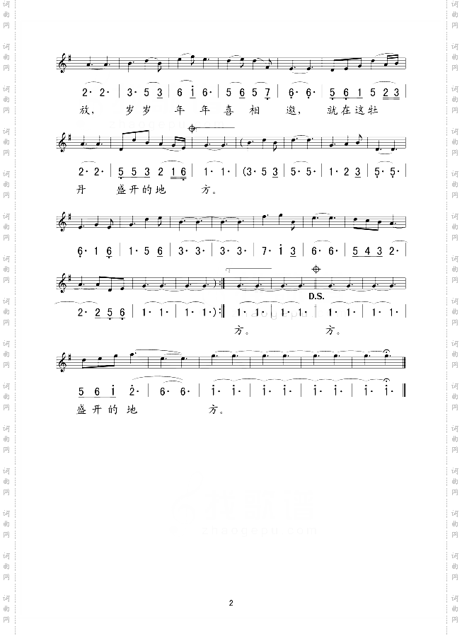 东方牡丹