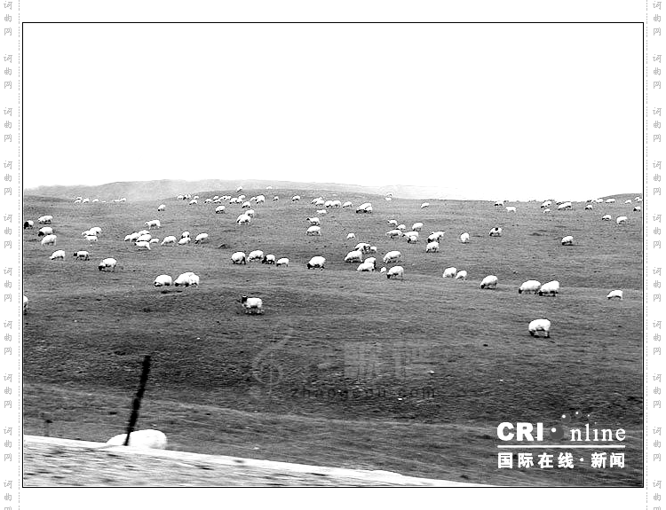 向往的西藏