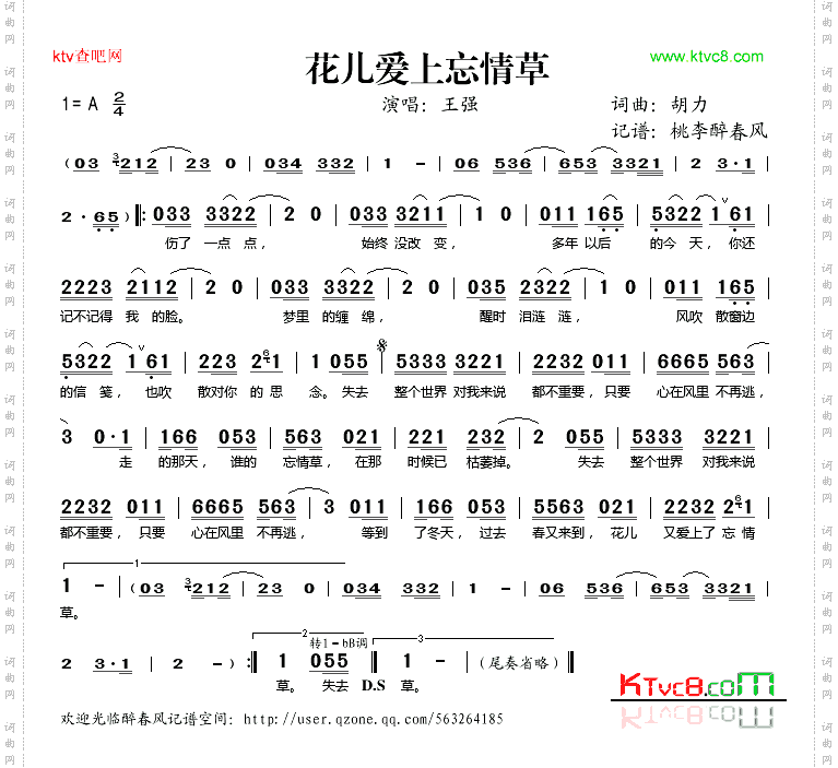 花儿爱上忘情草